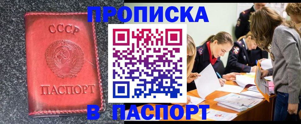 прописка для школы в Михайлове